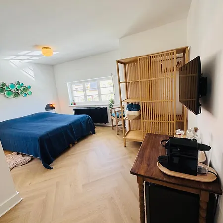 Stijlvolle Slaapkamers Met Privebadkamer In Concessiewijk, Op Steenworp Het Гостевой дом Де-Хаан